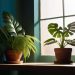 How daylight exposure should be managed indoors.