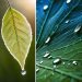 Understanding how humidity affects comfort.