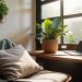 the connection between midday naps and productivity